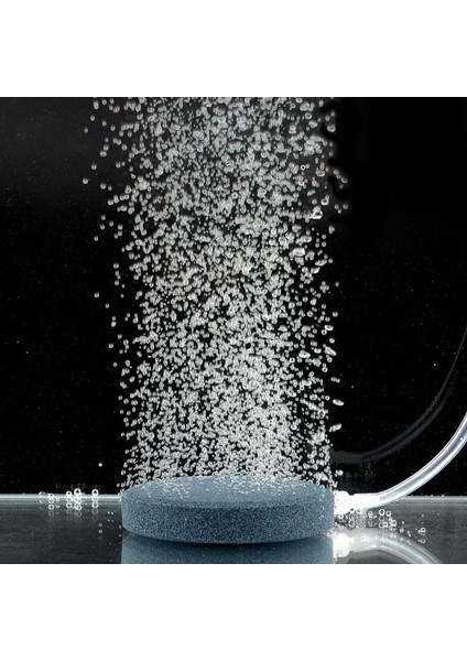 Çap 40MM Tarzı ml Hava Kabarcık Taş Havalandırıcı Balık Tankı Hava Kabarcık Taş Gölet Hava Pompası Oksijen Artırmak Için Akvaryum Hava Pompası Taş (Yurt Dışından) indirimleri