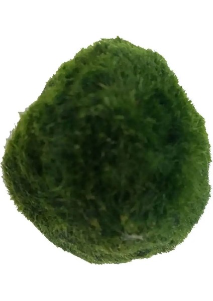 Büyük Stil Yapay Akvaryum Bitkileri Yeşil Yosun Topları Simülasyon Deniz Yosunu Peyzaj Su Otları Balık Tankı Dekorasyonu Için Süsleme (Yurt Dışından)