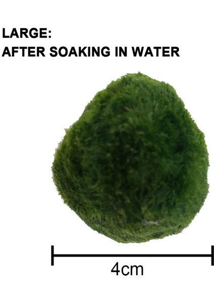 Büyük Stil Yapay Akvaryum Bitkileri Yeşil Yosun Topları Simülasyon Deniz Yosunu Peyzaj Su Otları Balık Tankı Dekorasyonu Için Süsleme (Yurt Dışından) fiyatları