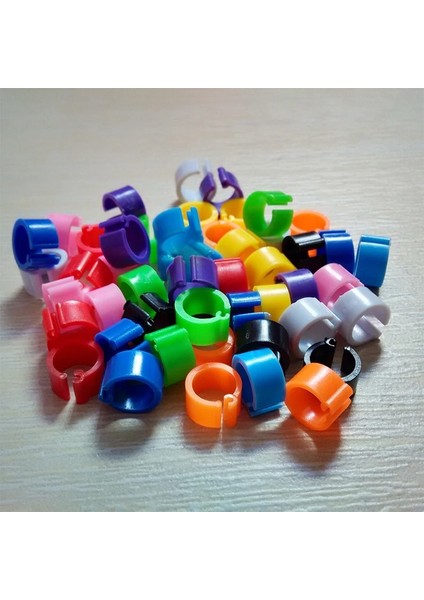 K Tarzı Kürklü Ayak Halkaları Wordolors Olmadan Güvercin Kazlar Bıldırcın Kuş Halkası Taşıma Aletleri Hayvan Tanımlama Besleme Logosu (Yurt Dışından)