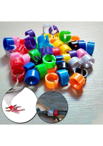 K Tarzı Kürklü Ayak Halkaları Wordolors Olmadan Güvercin Kazlar Bıldırcın Kuş Halkası Taşıma Aletleri Hayvan Tanımlama Besleme Logosu (Yurt Dışından) indirimleri