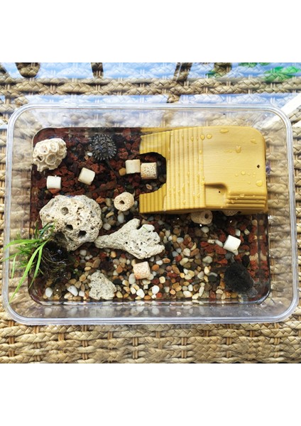 Gök Mavisi Tarzı Sıcak!!! Akvaryum Sürüngen Kaplumbağa Yüzen Basking Platformu Merdiven Balık Tankı Dekor Akvaryum Kaplumbağa Platformu Sürüngen Dinlenmek Için (Yurt Dışından) modelleri