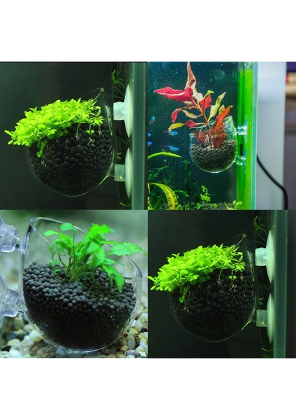 Bir Stil Su Bitkileri Manzaralar Tencere Bardaklar Mini Kırmızı Karides Akvaryum Balık Tankı Sucul Kristal Cam Saksı Bitki Bardaklık! (Yurt Dışından) fiyatları