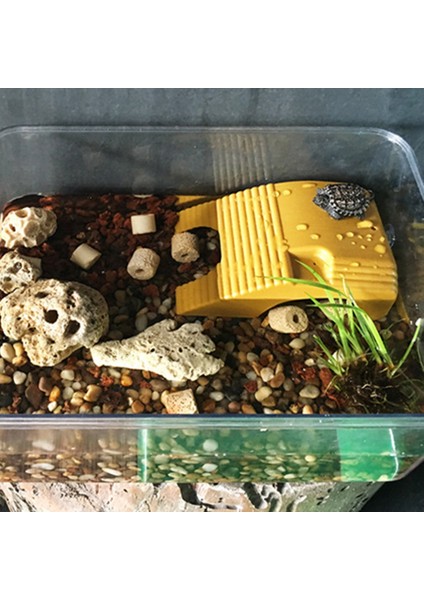 Koyu Yeşil Tarzı Sıcak!!! Akvaryum Sürüngen Kaplumbağa Yüzen Basking Platformu Merdiven Balık Tankı Dekor Akvaryum Kaplumbağa Platformu Sürüngen Dinlenmek Için (Yurt Dışından) fırsatları