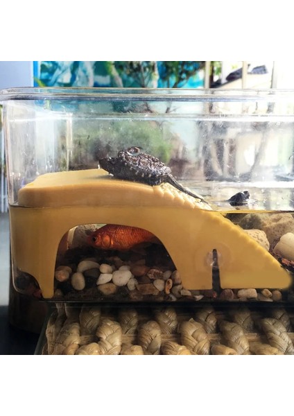 F Stili Akvaryum Kaplumbağa Platformu Akvaryum Amfibi Su Sporları Tırmanma Merdiven Yüzer Platform Akvaryum Balıkları Tank Süslemeleri (Yurt Dışından) fırsatları