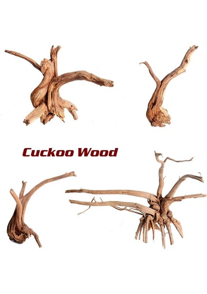 8-10CM Tarzı Drift Ahşap Balık Tankı Driftwood Doğal Ağaç Gövdesi Akvaryum Balık Tankı Bitki Akvaryum Akvaryum Dekorasyonu Altın Orman Dekoru (Yurt Dışından) fiyatları