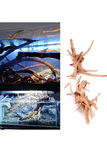 8-10CM Tarzı Drift Ahşap Balık Tankı Driftwood Doğal Ağaç Gövdesi Akvaryum Balık Tankı Bitki Akvaryum Akvaryum Dekorasyonu Altın Orman Dekoru (Yurt Dışından) modelleri