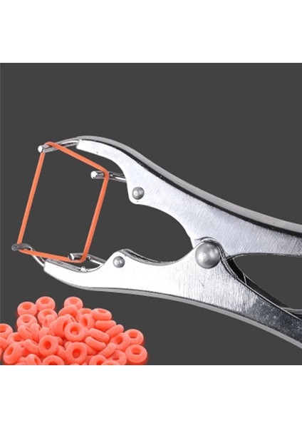 Yeşil Yüzük 50 Adet Tarzı Kuyruk Kaldırma Domuzlar ve Koyun Kastrasyon Penseleri ve Partikül Kauçuk Halka Kastrasyon Cihazı Hayvan Ekipmanları (Yurt Dışından) fırsatları