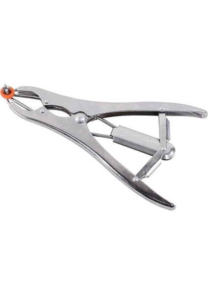 Yeşil Yüzük 50 Adet Tarzı Kuyruk Kaldırma Domuzlar ve Koyun Kastrasyon Penseleri ve Partikül Kauçuk Halka Kastrasyon Cihazı Hayvan Ekipmanları (Yurt Dışından) indirimleri