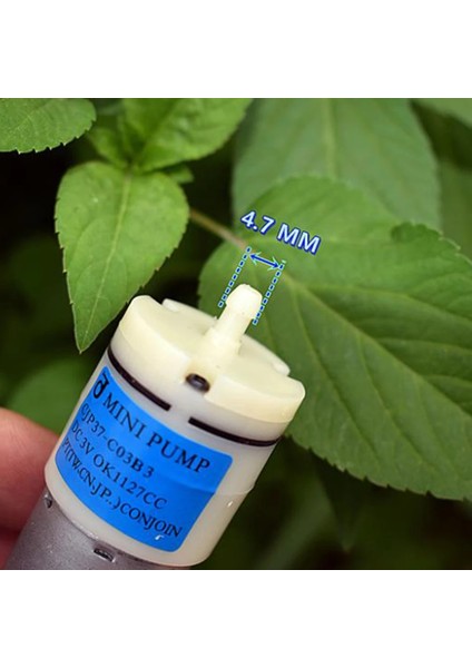 Mikro Tıbbi Monitör Hava Pompası DC3V 5V 6V 370 Motor Hava Pompası Sessiz Atmosferik Hacim Oksijen Pompası Akvaryum Balık Tankı Için (Yurt Dışından) fırsatları