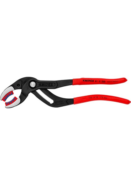 Speedgrip, Sifon Pensesi | Bağlantı Pensesi, Değiştirilebilir Plastik Koruyucu Çeneli, Atramentize Pas Korumalı, 250 Mm, 81 11 250