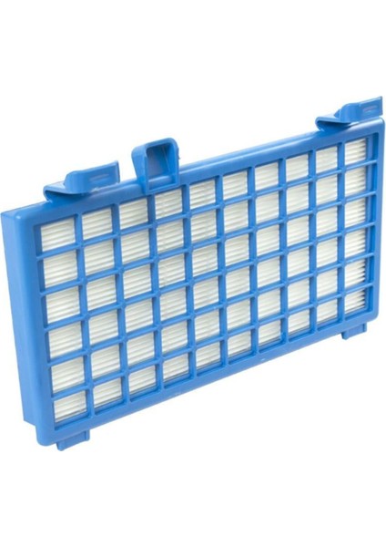 Rowenta Ro 6221 X-Trem Power Cyclonic Uyumlu Hepa Filtre