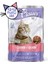 Pouch 100 gr Somon morina Etli 22 Adet Kedi Maması 2