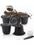 Kahve Tarzı 1 Adet Nespresso Doldurulabilir Yeniden Nespresso Kahve Kapsülü 20ML Filtreler Yeniden Kullanılabilir Kahve Kapsülü Nespresso Bardak Kaşık Fırça (Yurt Dışından) 5