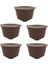 5 Adet Kahverengi Tarzı Nespresso Pcs Kahve Kapsülü Nestle Dolce Gusto Kapsül Yeniden Kullanılabilir Kahve Filtresi Kapsül Makinesi Doldurulabilir Cafe Capsula (Yurt Dışından) 2