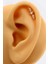 14 Ayar Altın Markiz Kelebek Piercing Tragus Helix 3