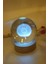 3D LED Işık Cam Küre Çok Işıklı Ahşap Hindiba Çiçeği 5