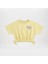Crop T-Shirt 1