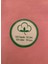 Body 3 Lü Paket Unisex Pamuklu Ligralı Yarım Balıkçı Yaka Çocuk Body 2