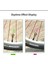 2 Adet Kırmızı Stil 2 Adet Bisiklet Lastiği Vana Kapağı LED Işık Dağ Bisikleti Flaş Işığı Bisiklet Lastik Tekerlek Lastik Lambası Motosiklet Tekerlek Lambası Aksesuarları (Yurt Dışından) 3