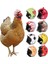 No.10 Tarzı Ken Kask Küçük Pet Baret Kuş Ördek Bıldırcın Şapka Başlık Pet Tavuk Kask Kuş Kafası Kask Evcil Hayvan Malzemeleri (Yurt Dışından) 3