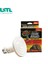 Siyah Stil 25W 220V Pet Isı Lambaları Sürüngen Tavşan Kaplumbağa Isıtma Işık Mini Kızılötesi Seramik Isıtma Lambası Sıcak Işık (Yurt Dışından) 2