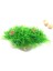 Mor Tarzı Uzunluk 25CM Mor Yapay Plastik Bitki Sualtı Su Çim Balık Tankı Akvaryum Süs Dekorasyon Çiçek Çim Çim 6CMX13CM (Yurt Dışından) 5