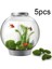 5 Adet Yosun Topu Akvaryum Yosun Topu Süsleme Cladophora Bitki Dekorasyon Tankı Marimo Balık Dekor (Yurt Dışından) 1