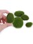 5 Adet Yosun Topu Akvaryum Yosun Topu Süsleme Cladophora Bitki Dekorasyon Tankı Marimo Balık Dekor (Yurt Dışından) 4