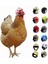 No.9 Tarzı Heken Kask Için Kask Kap Pet Dişli Güneş Yağmur Malzemeleri Kask Aksesuarları Oyuncak Kask Küçük Kostümler Kuş Tavuklar P B3L8 (Yurt Dışından) 5