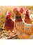 Kırmızı Stil Horoz Gürültüsüz Kanca Önleyici Boyun Bandı Yaka Tavuk Yaka No-Crow Horoz Yaka Kümes Hayvanları Çiftlik Kümes Hayvanları Için Gerdanlık Aksesuarları (Yurt Dışından) 5