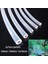 3m Tarzı 6X8MM Meterlicone Hortumu Şeffaf Oksijen Pompası Hortumu Akvaryum Yumuşak Borusu (Yurt Dışından) 2