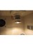 220V 25W Tarzı Sunning Isı Lambası 25~75 Watt Ampul, Geniş Spektrumlu Bir Işık Yayar, Teraryumlarda Basking Lamp Böcek Sürüngenleri Sağlanır (Yurt Dışından) 5