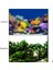 J Tarzı 70X150CM Akvaryum Için Arka Plan 3D Sticker Poster Balık Tankı Akvaryum Arka Plan Aksesuarları Dekorasyon Okyanus Bitki Aquascape Boyama (Yurt Dışından) 2