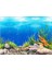 J Tarzı 70X150CM Akvaryum Için Arka Plan 3D Sticker Poster Balık Tankı Akvaryum Arka Plan Aksesuarları Dekorasyon Okyanus Bitki Aquascape Boyama (Yurt Dışından) 5