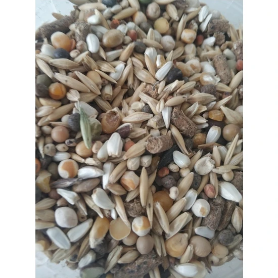 Gold Mind 5kg Güvercin Yemi (5kg)  (15 Karışım )