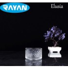 Elusia Stars Çizgili Tekli Cam Çerezlik