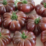 Tohum Bul Calabash Domates Tohumu (15 Tohum)