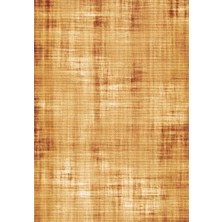 Colorix Carpet Dijital Baskı Dekoratif Kaymaz Taban Yıkanabilir Halı NO:1493