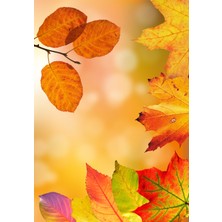 Colorix Carpet Dijital Baskı Dekoratif Kaymaz Taban Yıkanabilir Halı