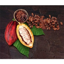 Jacobs Cocoa Fantasy Sıcak Çikolata Tozu 1 kg