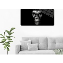 Decorita Cam Tablo | Modern Art Serisi | Dark Monkey | 40CM x 80CM