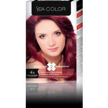 Sea Color Set Boya 4.6 Kestane Kızıl