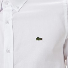 Nikke Lacoste Erkek Slim Fit Düğmeli Yaka Beyaz Gömlek