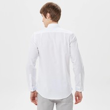 Nikke Lacoste Erkek Slim Fit Düğmeli Yaka Beyaz Gömlek