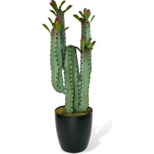 Nettenevime Yapay Çiçek Kaktüs Ağacı 4kollu Kızıl Yapraklısiyah Saksıda 70*22CM 4027