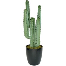 Nettenevime Yapay Çiçek Kaktüs Ağacı 4kollu Siyah Saksıda 70*22CM 4027