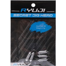 Ryuji Secret 2,5gr Jig Head