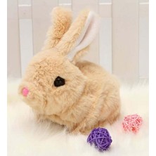 Sole Yürüyen, Sesli Hareketli Sevimli Peluş Bunny Tavşan - Sweet Bunny