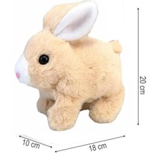 Sole Yürüyen, Sesli Hareketli Sevimli Peluş Bunny Tavşan - Sweet Bunny